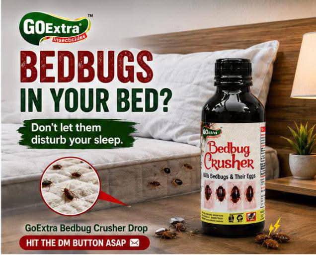 Bedbug Crusher drop beside an infested mattress